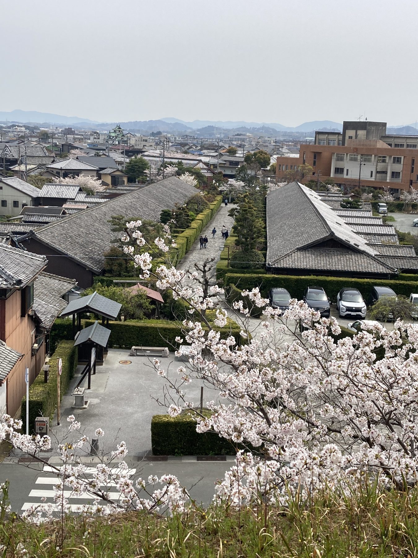活動の様子